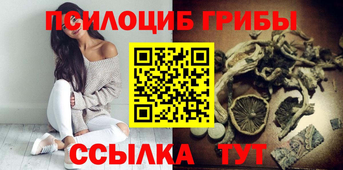 Псилоцибиновые грибы Magic Shrooms Можга